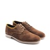Blucher Ante