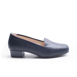 Pompadour Blue Shoe