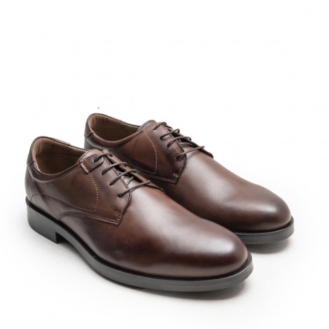 Derby Shoe