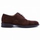 Nut Suede Oxford